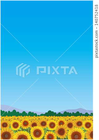 夏天向日葵領域風景 夏天向日葵領域風景 140752418