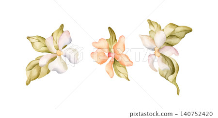 Cute Little Flower Leaves Jasmine Apple Blossom Blooming Set. Watercolor hand drawn floral illustration isolated on white background summer design home textile fresh fabric cosmetic package crockery Cute Little Flower Leaves Jasmine Apple Blossom Blooming Set. Watercolor hand drawn floral illustration isolated on white background summer design home textile fresh fabric cosmetic package crockery 140752420