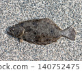 Full body photo of a flounder 140752475