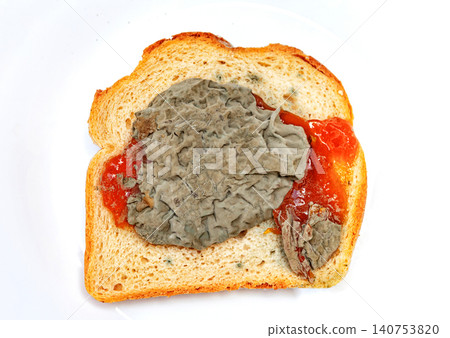 Moldy bread with jelly and a greenish substance on a white plate is shown in a kitchen setting Moldy bread with jelly and a greenish substance on a white plate is shown in a kitchen setting 140753820