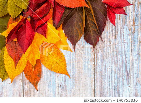 Colorful Autumn Leaves Arranged on a Wooden Surface During the Fall Season in a Natural Setting Colorful Autumn Leaves Arranged on a Wooden Surface During the Fall Season in a Natural Setting 140753830