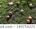 Ripe Peaches Scattered on Green Grass Ground. 140754225