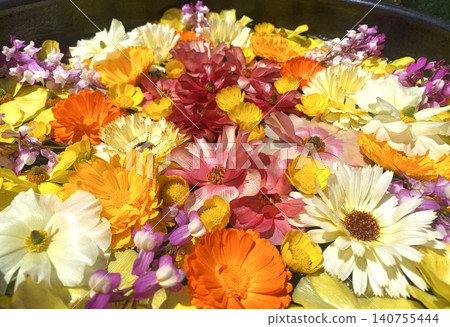 Colorful flowers floating on water 140755444