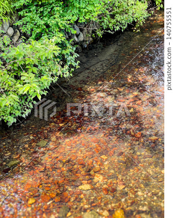The clear stream flows beautifully, with translucent reddish-brown pebbles at its bottom and lush new greenery along its banks. The clear stream flows beautifully, with translucent reddish-brown pebbles at its bottom and lush new greenery along its banks. 140755551