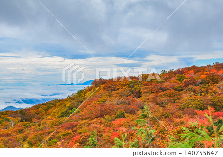 在陰沉的秋日天空下,從登山道上可以看到栗駒山頂美麗的秋葉,以及下方綿延的雲海。 在陰沉的秋日天空下,從登山道上可以看到栗駒山頂美麗的秋葉,以及下方綿延的雲海。 140755647