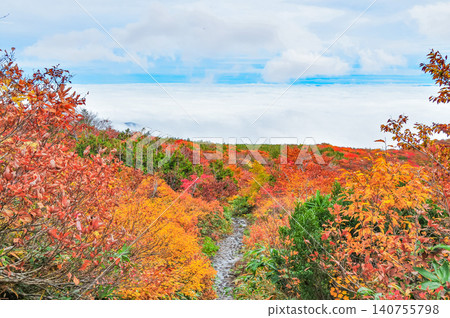 Under a cloudy autumn sky, the beautiful autumn foliage of Mount Kurikoma, at its peak, is visible from the hiking trail, along with a sea of clouds stretching out below. Under a cloudy autumn sky, the beautiful autumn foliage of Mount Kurikoma, at its peak, is visible from the hiking trail, along with a sea of clouds stretching out below. 140755798