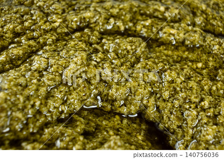 Gourmet green sauce texture with chopped herbs and nuts Gourmet green sauce texture with chopped herbs and nuts 140756036