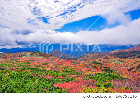 Under a cloudy autumn sky, the beautiful autumn foliage of Mount Kurikoma, at its peak, is visible from the hiking trail, along with a sea of clouds stretching out below. Under a cloudy autumn sky, the beautiful autumn foliage of Mount Kurikoma, at its peak, is visible from the hiking trail, along with a sea of clouds stretching out below. 140756180