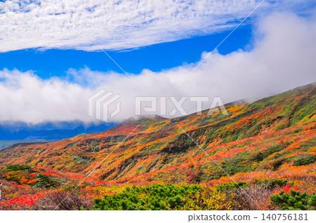 Under a cloudy autumn sky, the beautiful autumn foliage of Mount Kurikoma, at its peak, is visible from the hiking trail, along with a sea of clouds stretching out below. Under a cloudy autumn sky, the beautiful autumn foliage of Mount Kurikoma, at its peak, is visible from the hiking trail, along with a sea of clouds stretching out below. 140756181