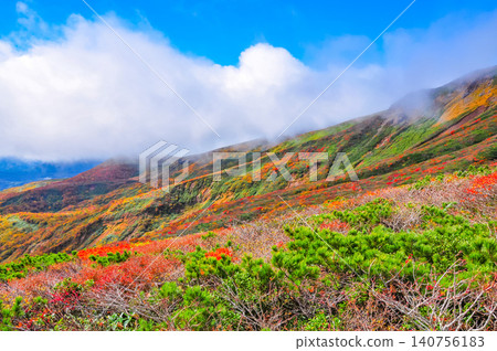 在陰沉的秋日天空下,從登山道上可以看到栗駒山頂美麗的秋葉,以及下方綿延的雲海。 在陰沉的秋日天空下,從登山道上可以看到栗駒山頂美麗的秋葉,以及下方綿延的雲海。 140756183