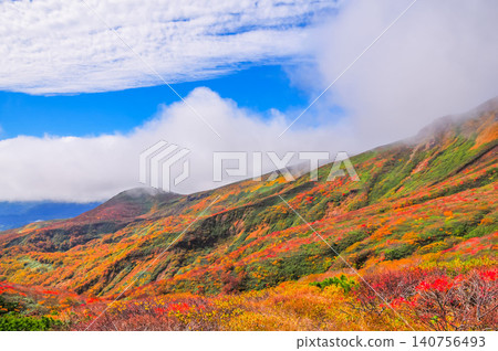 On a clear autumn day, Mount Kurikoma is at the peak of its autumn foliage, with glimpses of blue sky peeking through the clouds, creating a beautiful landscape of the entire mountain covered in vibrant autumn colors. On a clear autumn day, Mount Kurikoma is at the peak of its autumn foliage, with glimpses of blue sky peeking through the clouds, creating a beautiful landscape of the entire mountain covered in vibrant autumn colors. 140756493