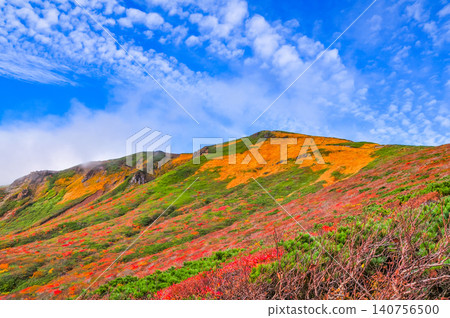On a clear autumn day, Mount Kurikoma is at the peak of its autumn foliage, with glimpses of blue sky peeking through the clouds, creating a beautiful landscape of the entire mountain covered in vibrant autumn colors. On a clear autumn day, Mount Kurikoma is at the peak of its autumn foliage, with glimpses of blue sky peeking through the clouds, creating a beautiful landscape of the entire mountain covered in vibrant autumn colors. 140756500