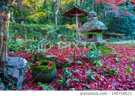 Autumn leaves that have fallen into the mossy water basin Autumn leaves that have fallen into the mossy water basin 140756621