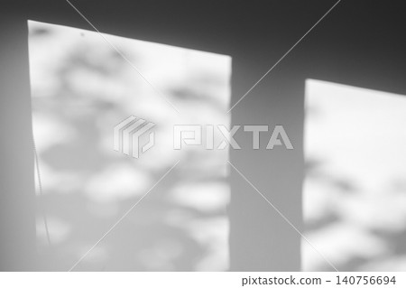 natural tree leaves shadow drop on window background natural tree leaves shadow drop on window background 140756694