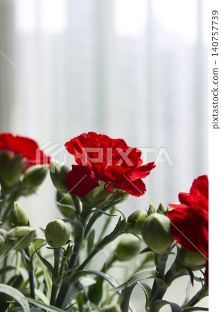 It is a red carnation flowerpot. It is a red carnation flowerpot. 140757739