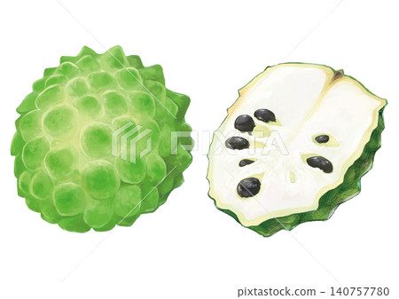 Atemoya Atemoya 140757780