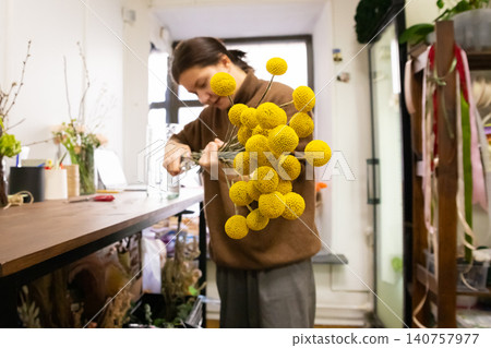 Woman florist trimming yellow Craspedia flower stems in a flower shop. Small business owner preparing bouquet with billy balls for floral arrangement. Artistic nature and plant design. Woman florist trimming yellow Craspedia flower stems in a flower shop. Small business owner preparing bouquet with billy balls for floral arrangement. Artistic nature and plant design. 140757977
