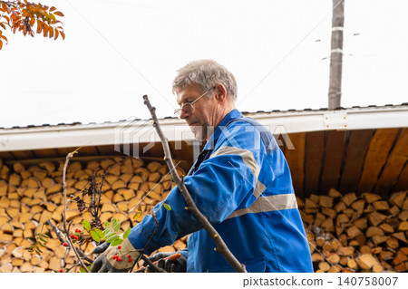 Gardener man trimming branches of trees in garden. Senior worker collecting cut wood during seasonal landscaping activity. Outdoor rural farm maintenance and nature management concept. Gardener man trimming branches of trees in garden. Senior worker collecting cut wood during seasonal landscaping activity. Outdoor rural farm maintenance and nature management concept. 140758007