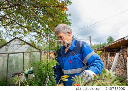 Man cleaning cut rowan branches in backyard. Seasonal pruning and gardening maintenance. Farmer working outdoors in autumn. Agriculture and garden yard work lifestyle concept. Professional. Man cleaning cut rowan branches in backyard. Seasonal pruning and gardening maintenance. Farmer working outdoors in autumn. Agriculture and garden yard work lifestyle concept. Professional. 140758008
