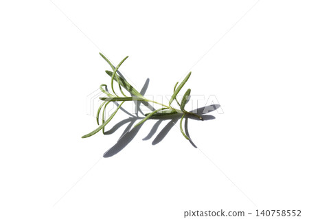 It is rosemary placed against a white background. It is rosemary placed against a white background. 140758552