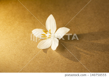 It is a wooden board background and Styrax japonica flowers. It is a wooden board background and Styrax japonica flowers. 140758555