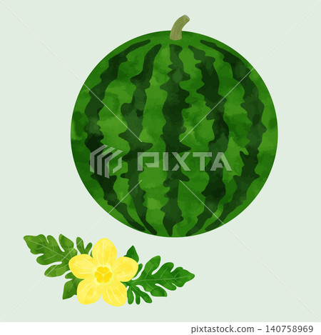 Hand-drawn watercolor style illustration of a whole watermelon and flowers (vector version) Hand-drawn watercolor style illustration of a whole watermelon and flowers (vector version) 140758969