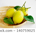 Lemon fruit Lemon leaves Branched lemon fruit 140759025