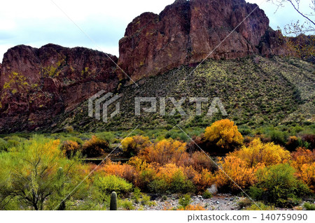 Salt River Recreation Area Arizona Salt River Recreation Area Arizona 140759090