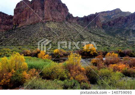 Salt River Recreation Area Arizona Salt River Recreation Area Arizona 140759093