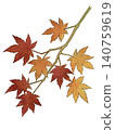 Illustration of a maple branch with autumn leaves 140759619