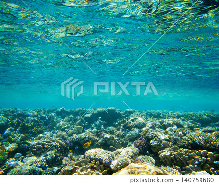 Underwater world panorama. Coral reef ocean light under water Underwater world panorama. Coral reef ocean light under water 140759680