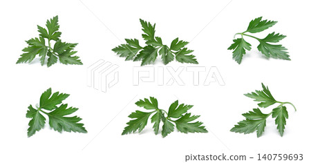 Fresh parsley leaf. Parsley leaf isolated on white. Fresh parsley leaf. Parsley leaf isolated on white. 140759693