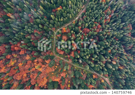 Carpathian mountain forest sunny landscape Carpathian mountain forest sunny landscape 140759746