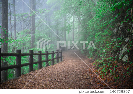 Mount Mitou in Okutama, Tokyo: Forest Therapy Road 140759807
