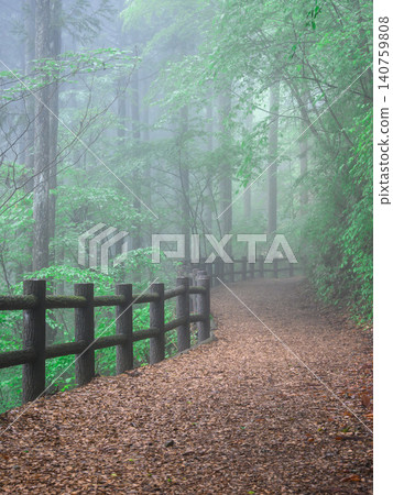 Mount Mitou in Okutama, Tokyo: Forest Therapy Road Mount Mitou in Okutama, Tokyo: Forest Therapy Road 140759808