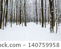 Winter forest and the road. Winter landscape. Forest landscape 140759958