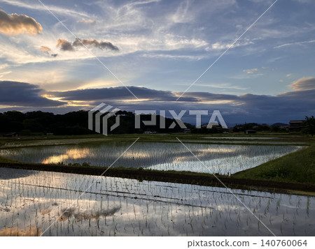 At dusk, the sunset and clouds are reflected in the rice paddies. At dusk, the sunset and clouds are reflected in the rice paddies. 140760064