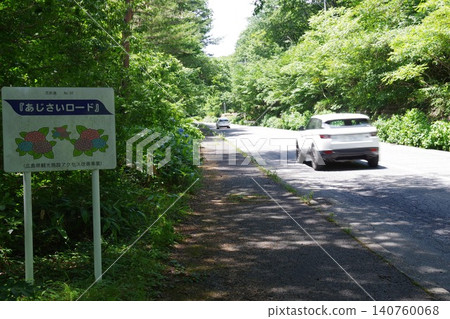繡球花路風景 繡球花路風景 140760068