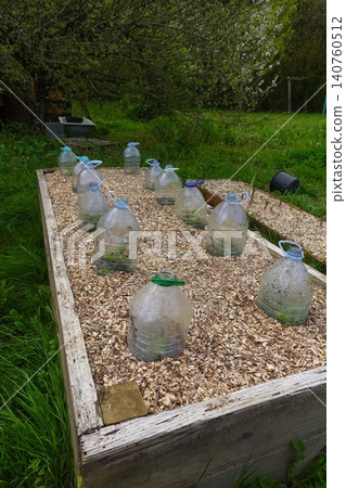 Raised garden bed using plastic bottle cloches protecting seedlings Raised garden bed using plastic bottle cloches protecting seedlings 140760512