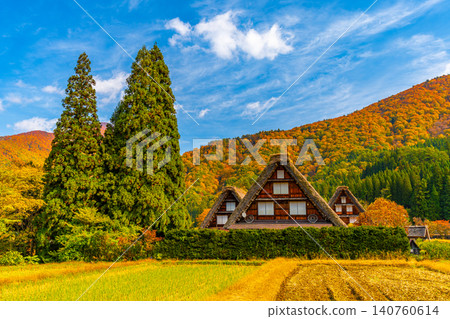 Shirakawa-go, Autumn Leaves, Stunning Autumn Scenery, One of Japan's Most Beautiful Landscapes Shirakawa-go, Autumn Leaves, Stunning Autumn Scenery, One of Japan's Most Beautiful Landscapes 140760614