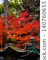 [香川縣中多戶郡]金比羅山的紅葉2 140760655