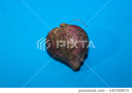 Fresh Red Shallot Isolated on Blue Background Fresh Red Shallot Isolated on Blue Background 140760674