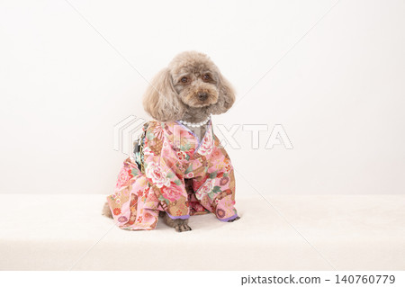 A toy poodle in a pink kimono against a white background. 140760779