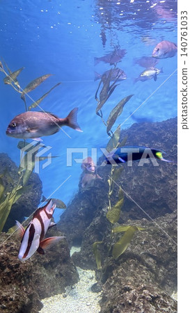 Hualien Ocean Aquarium 140761033