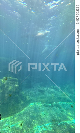 Hualien Ocean Aquarium 140761035