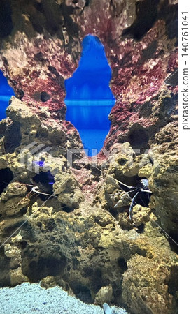 Hualien Ocean Aquarium Hualien Ocean Aquarium 140761041