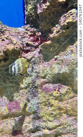 Hualien Ocean Aquarium 140761047