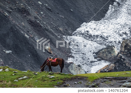 Brown horse grazes near snowy mountain slope Brown horse grazes near snowy mountain slope 140761204