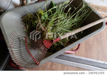 Garden wheelbarrow filled with grass clippings and weeds alongside a metal rake indoors Garden wheelbarrow filled with grass clippings and weeds alongside a metal rake indoors 140761505