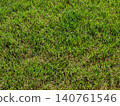 Detailed view of a freshly mown green lawn texture in bright sunlight 140761546